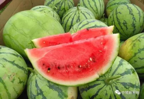 今日吃瓜每日大瓜网红,揭秘“吃瓜每日大瓜”背后的热门事件